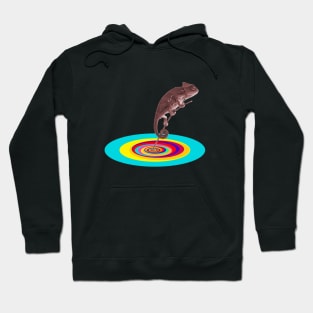 Psychedelic Chameleon Hoodie